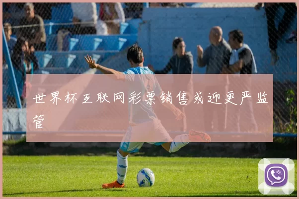 世界杯互联网彩票销售或迎更严监管