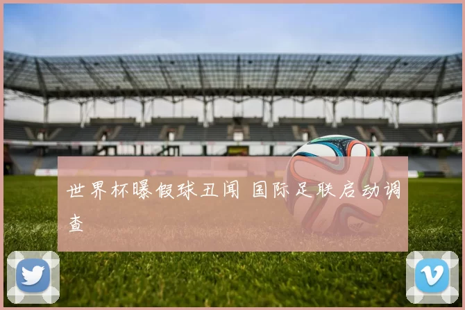 世界杯曝假球丑闻 国际足联启动调查