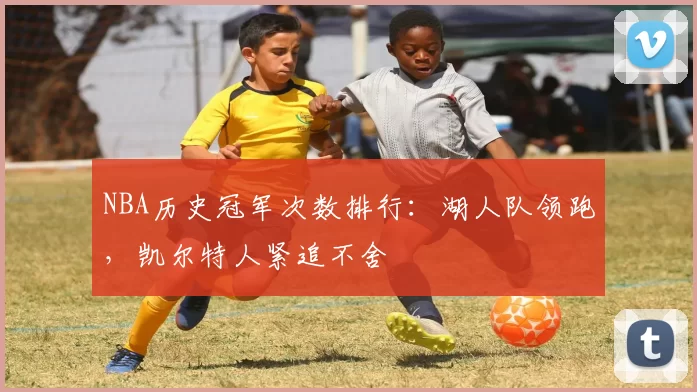 NBA历史冠军次数排行:湖人队领跑,凯尔特人紧追不舍