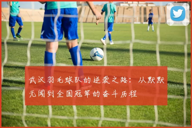 武汉羽毛球队的逆袭之路:从默默无闻到全国冠军的奋斗历程