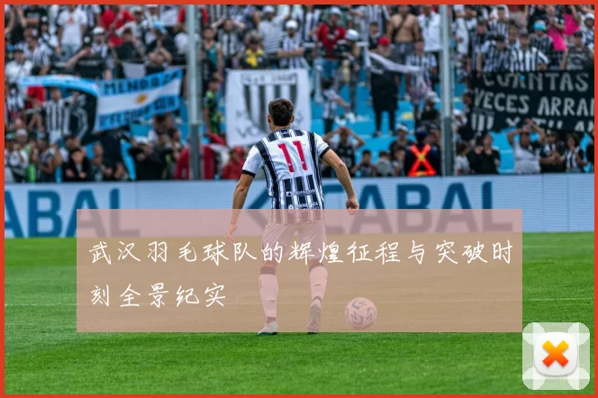 武汉羽毛球队的辉煌征程与突破时刻全景纪实