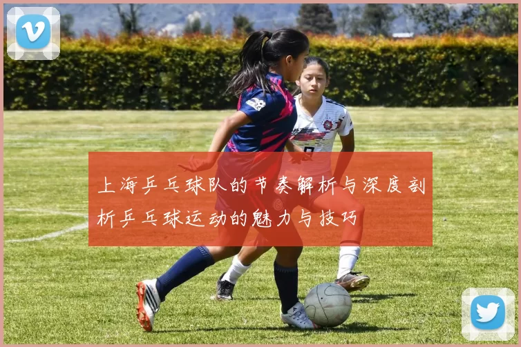 上海乒乓球队的节奏解析与深度剖析乒乓球运动的魅力与技巧