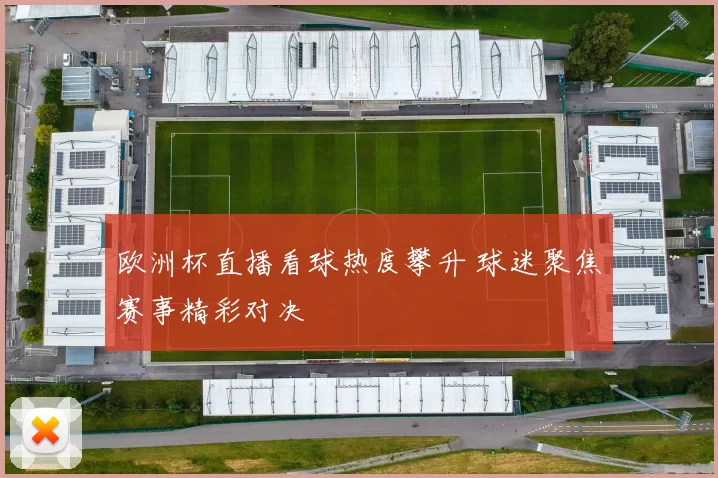 欧洲杯直播看球热度攀升 球迷聚焦赛事精彩对决