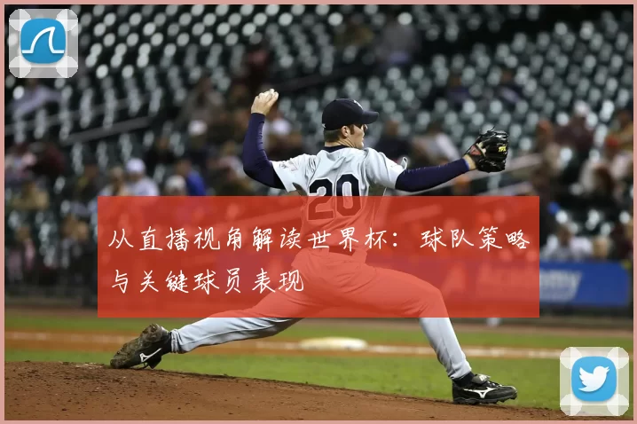 从直播视角解读世界杯：球队策略与关键球员表现