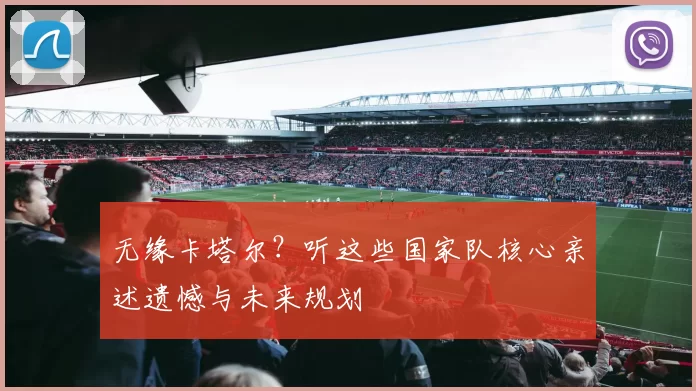无缘卡塔尔？听这些国家队核心亲述遗憾与未来规划