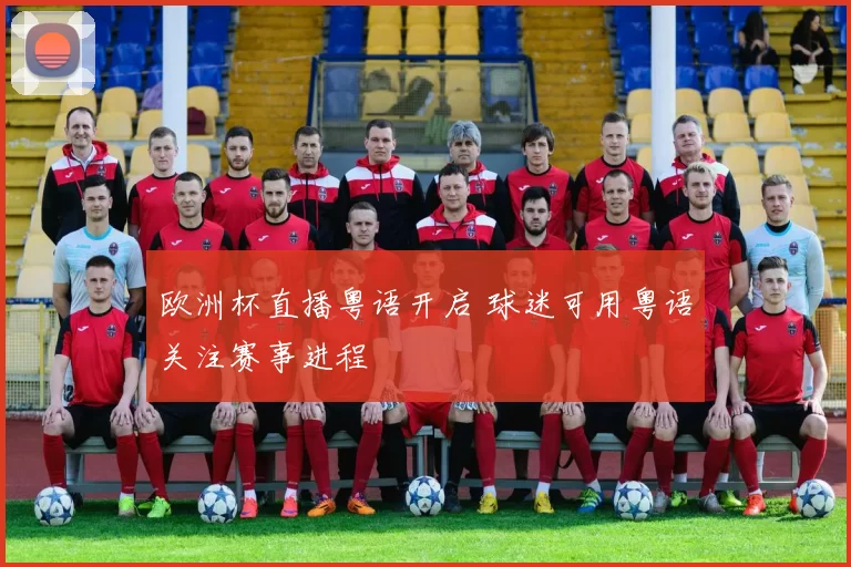 欧洲杯直播粤语开启 球迷可用粤语关注赛事进程