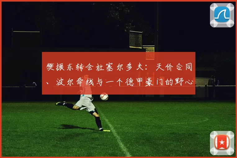 樊振东转会杜塞尔多夫:天价合同、波尔牵线与一个德甲豪门的野心