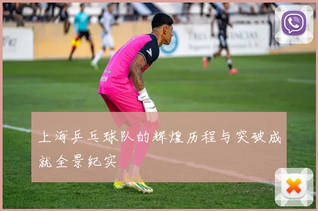 上海乒乓球队的辉煌历程与突破成就全景纪实