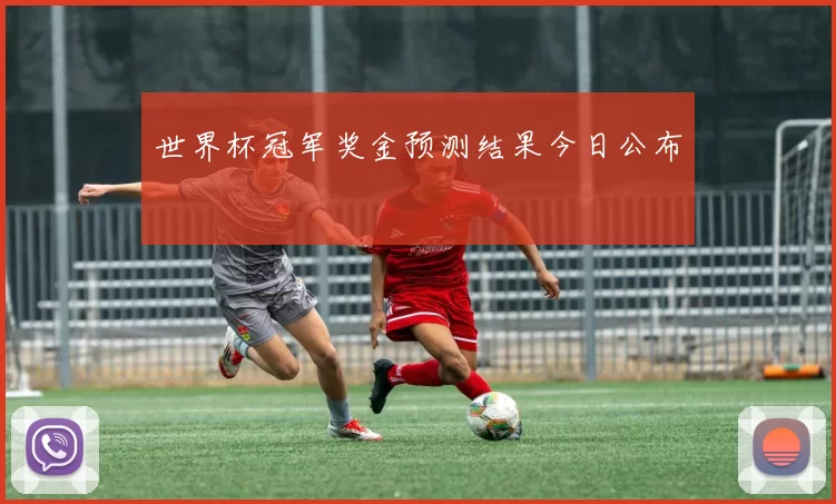 世界杯冠军奖金预测结果今日公布