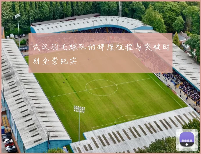 武汉羽毛球队的辉煌征程与突破时刻全景纪实