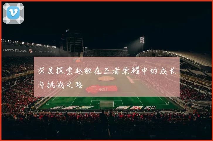 深度探索赵敏在王者荣耀中的成长与挑战之路