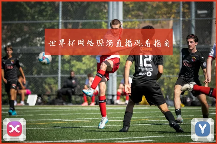 世界杯网络现场直播观看指南